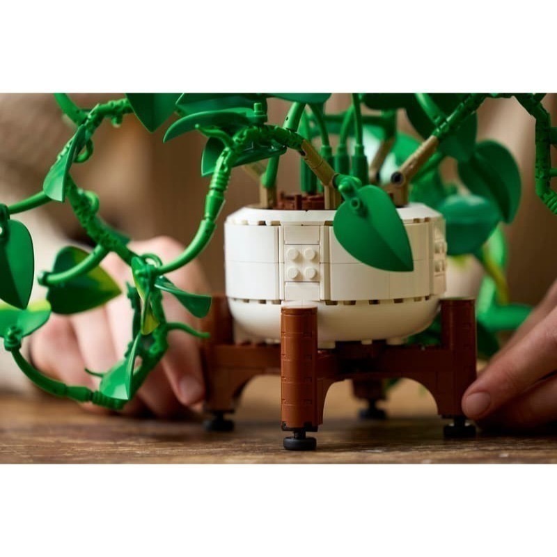 【椅比呀呀|高屏1650】LEGO 樂高 11512 垂掛黃金葛 Hanging Golden Pothos 花藝收藏-細節圖6
