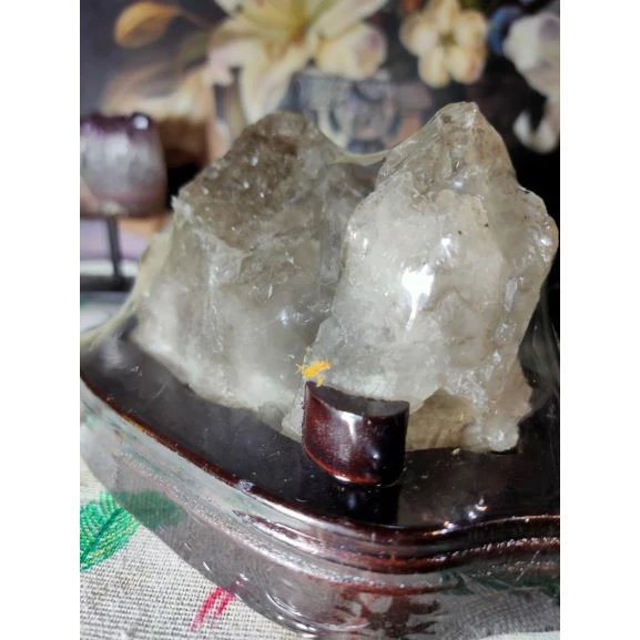 💎天然水晶亮皮鱷魚骨幹共生鈦晶母礦原石原礦 風水擺件招財招人緣手珠消磁 避邪骸骨骨幹城堡骨幹教堂骨幹原石擺件-細節圖2