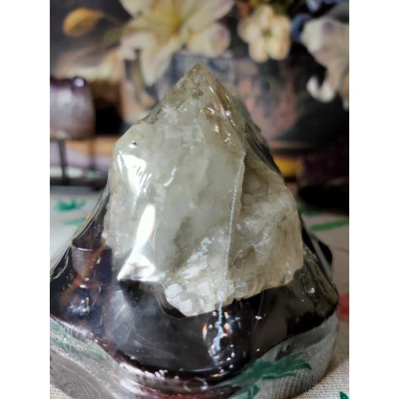 💎天然水晶亮皮鱷魚骨幹共生鈦晶母礦原石原礦 風水擺件招財招人緣手珠消磁 避邪骸骨骨幹城堡骨幹教堂骨幹原石擺件-細節圖3