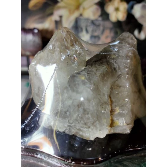 💎天然水晶亮皮鱷魚骨幹共生鈦晶母礦原石原礦 風水擺件招財招人緣手珠消磁 避邪骸骨骨幹城堡骨幹教堂骨幹原石擺件-細節圖4