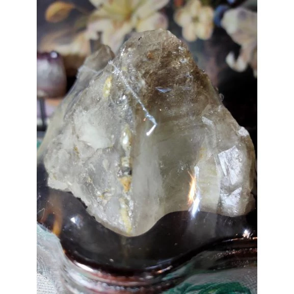 💎天然水晶亮皮鱷魚骨幹共生鈦晶母礦原石原礦 風水擺件招財招人緣手珠消磁 避邪骸骨骨幹城堡骨幹教堂骨幹原石擺件-細節圖6