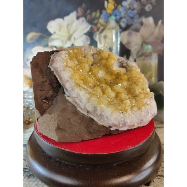 ✡️福利價 烏拉圭異像內凹晶鎮 黃色帶黑碧  防幅攝電磁波 消磁 净化 紫水晶原石 晶簇擺件1428g#324-細節圖6