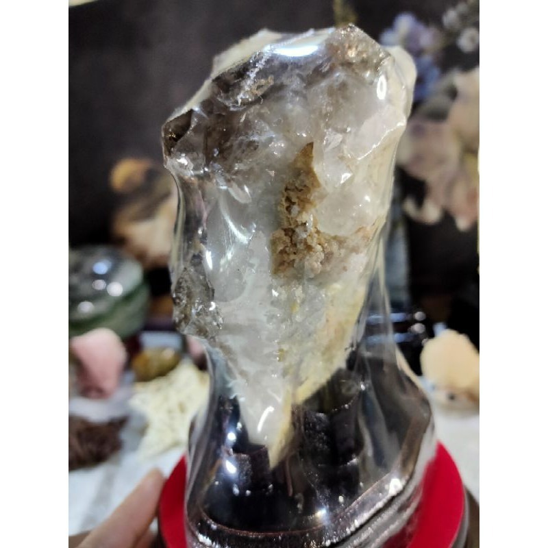 💎天然水晶亮皮鱷魚骨幹共生鈦晶母礦原石原礦風水擺件招財招人緣招桃花手珠消磁避邪骸骨骨幹城堡骨幹教堂骨幹 910g-細節圖5