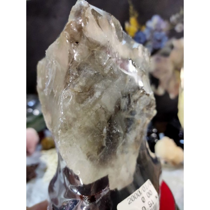 💎天然水晶亮皮鱷魚骨幹共生鈦晶母礦原石原礦風水擺件招財招人緣招桃花手珠消磁避邪骸骨骨幹城堡骨幹教堂骨幹 910g-細節圖6