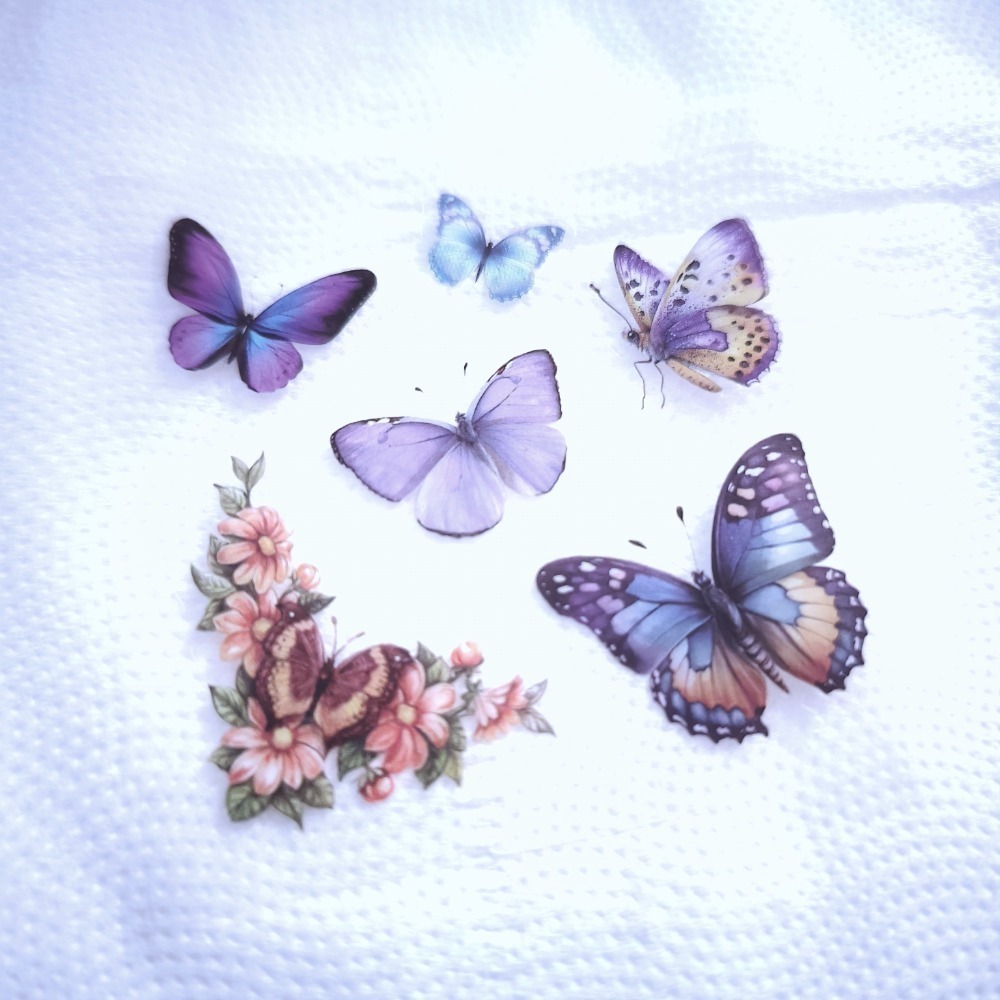 🦋003🦋 蝴蝶貼紙Sticker 7×7公分-規格圖1