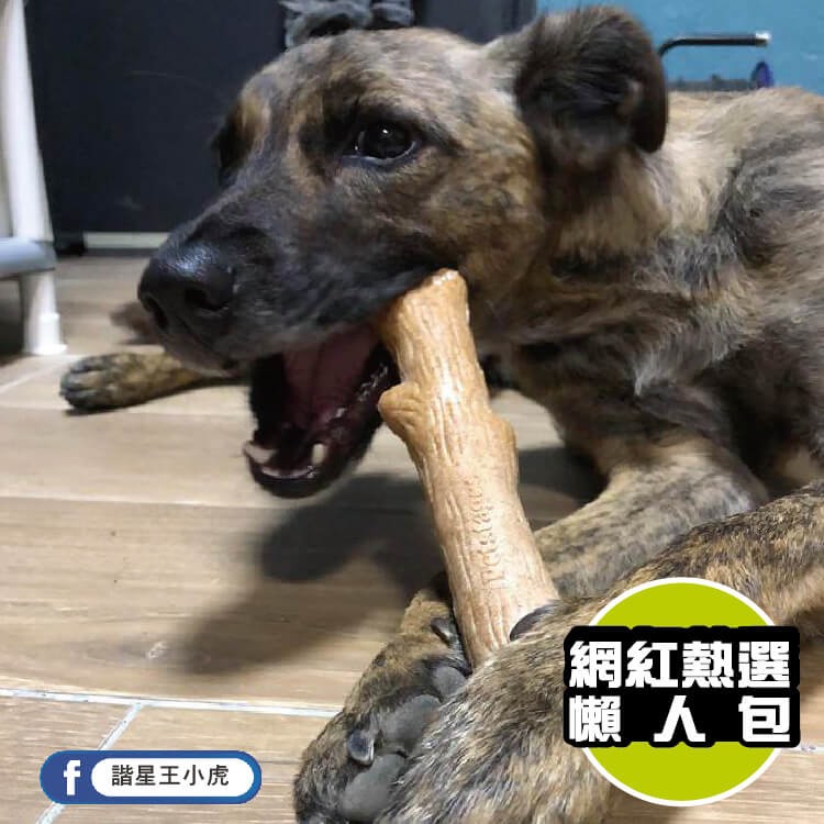 【狗狗潔牙玩具】耐咬史迪克（XS）迷你犬適用-細節圖2