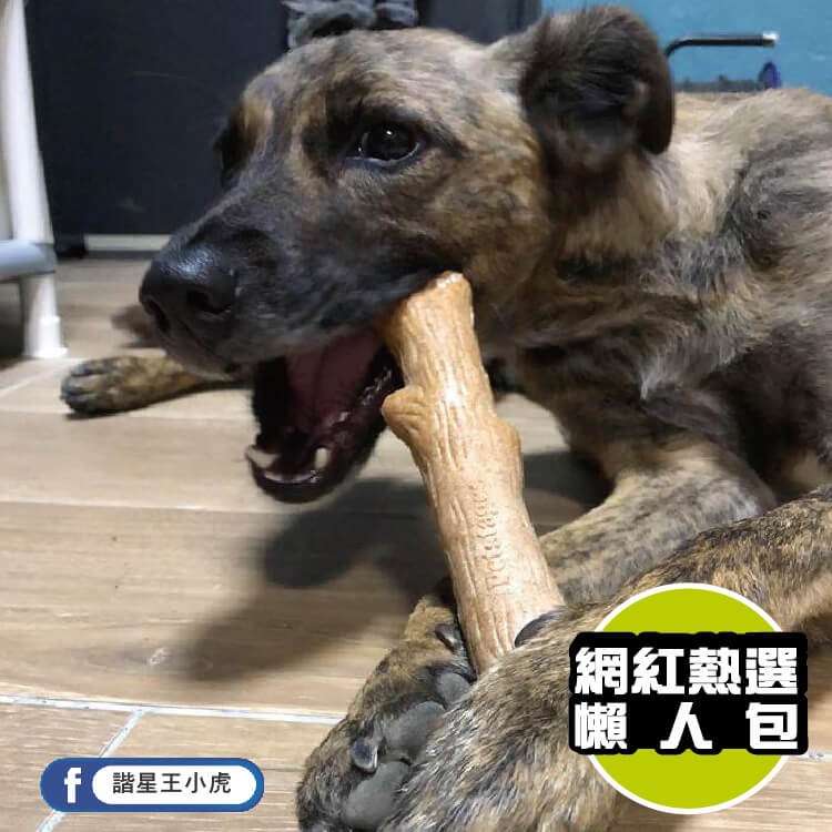 【狗狗潔牙玩具】耐咬史迪克（L）大型犬適用-細節圖2