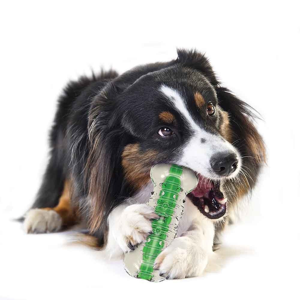 【狗狗潔牙玩具】綠咖咖果凍骨（M）中型犬適用-細節圖5