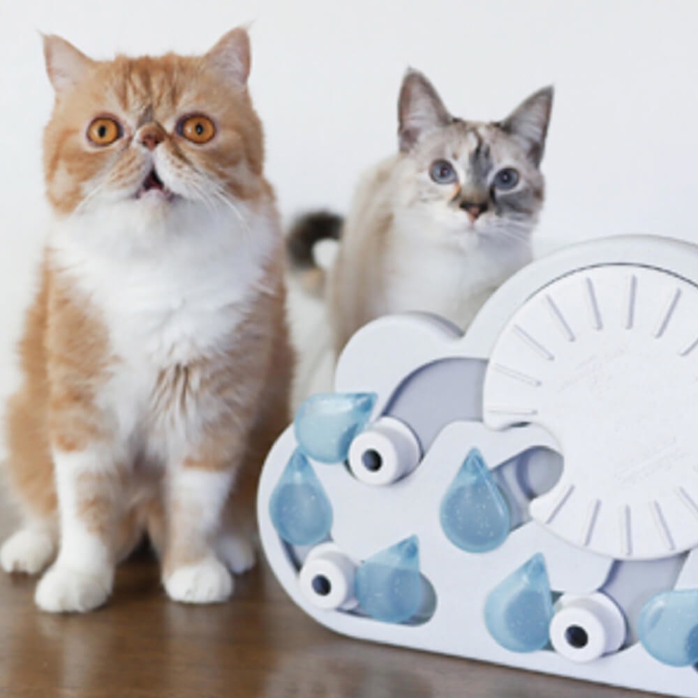 【寵物益智、抗憂鬱玩具】Nina Ottosson 趣味貓-水滴轉盤 LV.3-細節圖2