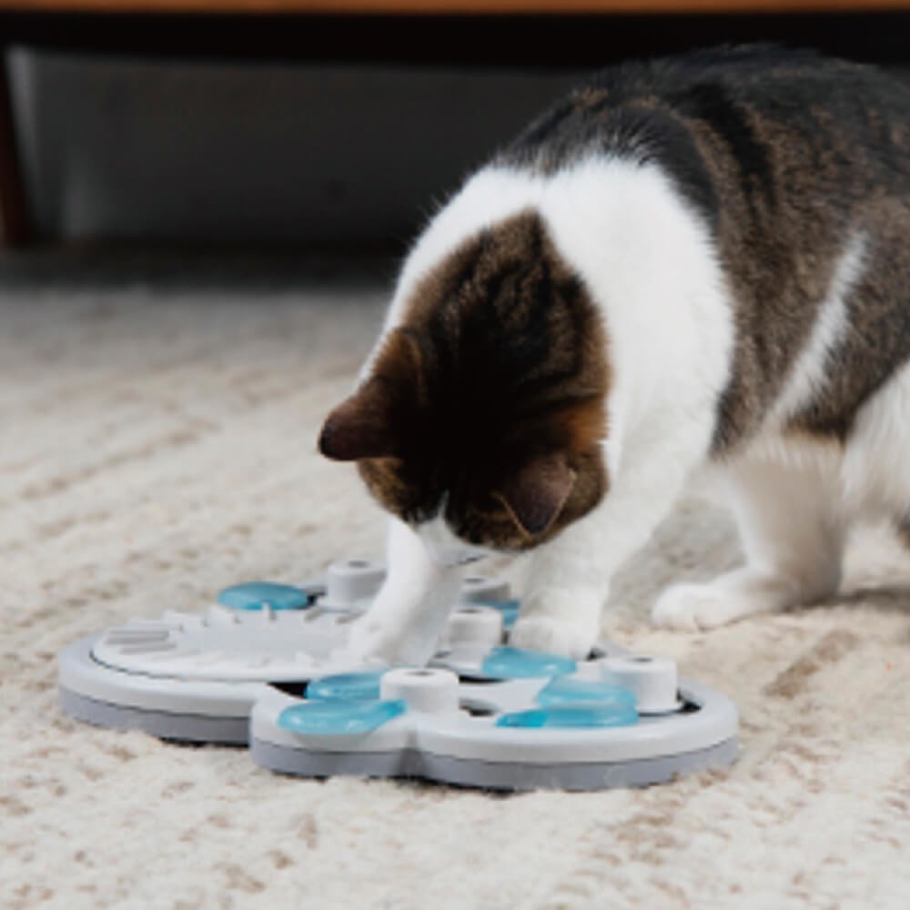 【寵物益智、抗憂鬱玩具】Nina Ottosson 趣味貓-水滴轉盤 LV.3-細節圖4