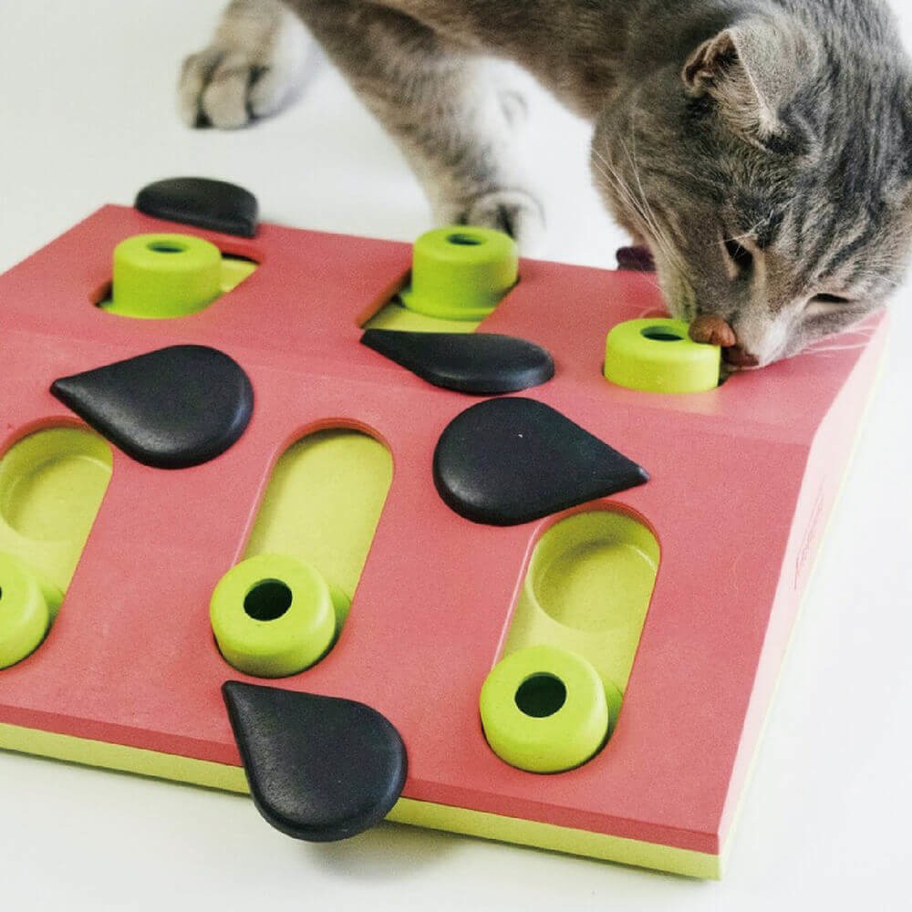 【寵物益智、抗憂鬱玩具】Nina Ottosson 趣味貓-西瓜果盤 LV.2-細節圖2