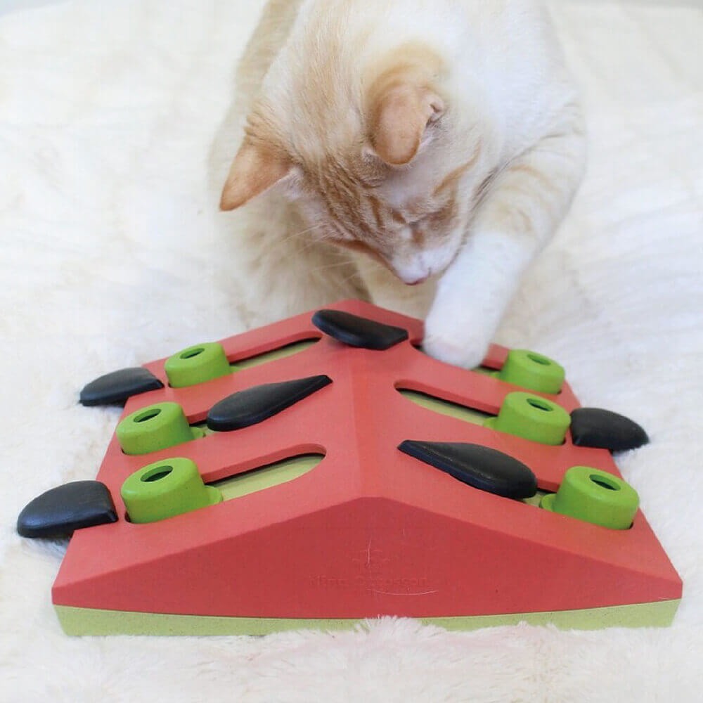 【寵物益智、抗憂鬱玩具】Nina Ottosson 趣味貓-西瓜果盤 LV.2-細節圖3
