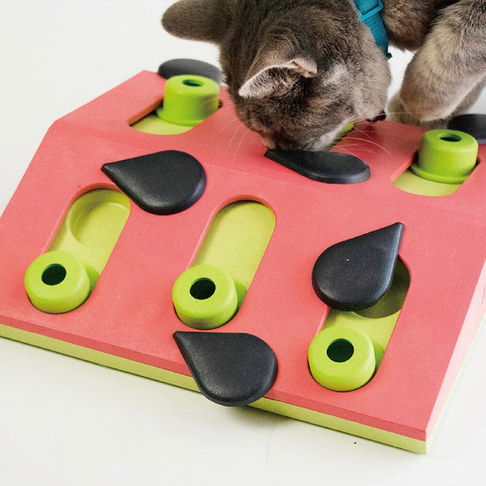 【寵物益智、抗憂鬱玩具】Nina Ottosson 趣味貓-西瓜果盤 LV.2-細節圖4