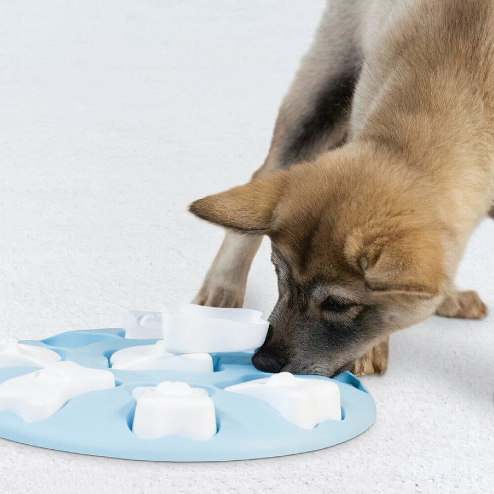 【寵物益智、抗憂鬱玩具】Nina Ottosson 聰明狗-造型圓骨盤(藍天系)LV.1-細節圖3