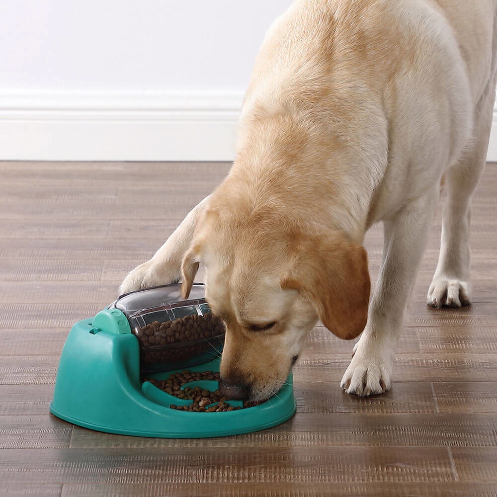 【寵物益智、抗憂鬱玩具】Nina Ottosson 貪吃狗-食來運轉盤 LV.2-細節圖3