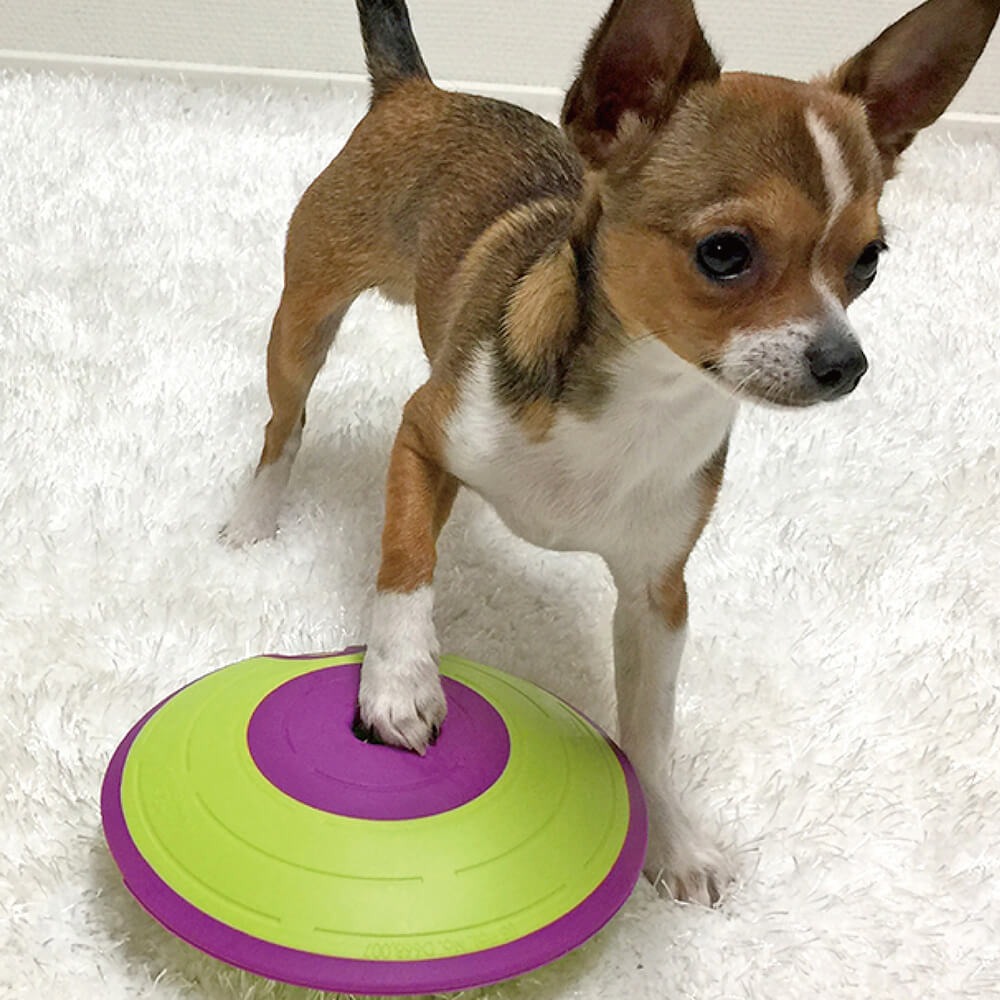 【寵物益智、抗憂鬱玩具】Nina Ottosson 旋風狗-迷宮旋轉盤 LV.2-細節圖3