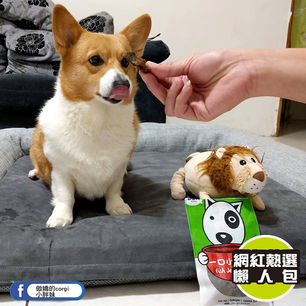 【天然健康狗狗零食】BokBok 鮮吃魚-一口小肉乾 50g-細節圖3