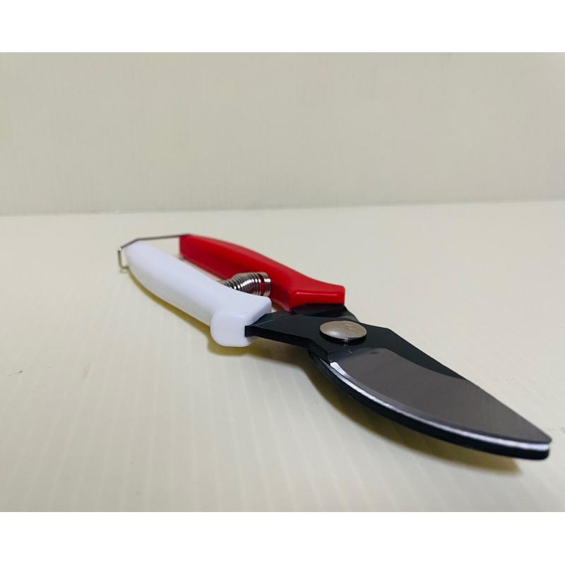 園藝剪 樹枝剪 花藝剪 剪定鋏 檳榔剪-細節圖7