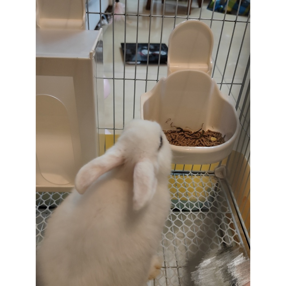 ZOHO 兔子飼料碗 懸掛式 滑軌式 快拆 護頸 可調節-細節圖3