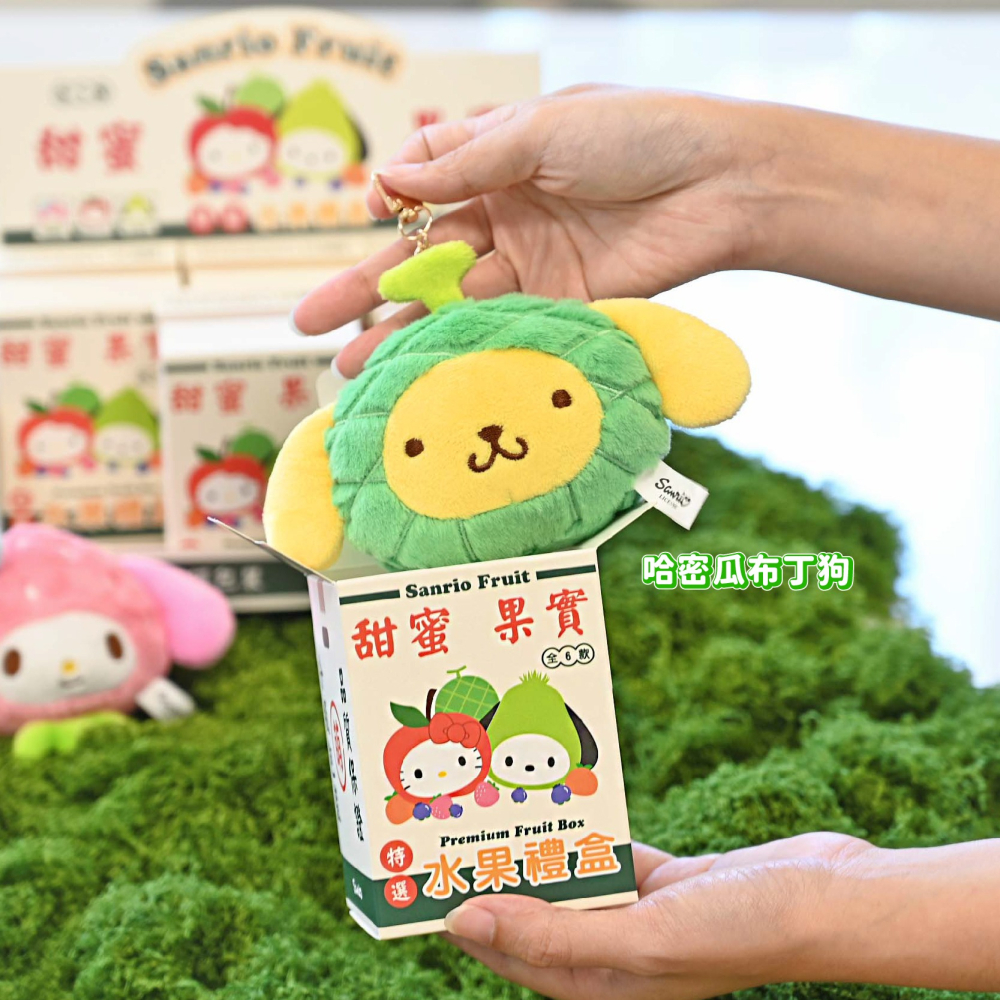 三麗鷗 水果系列 盲盒 盲抽 盒玩 吊飾 掛飾 掛件 鑰匙圈 酷洛米 Kitty 布丁狗 帕恰狗 大耳狗 美樂蒂-細節圖2