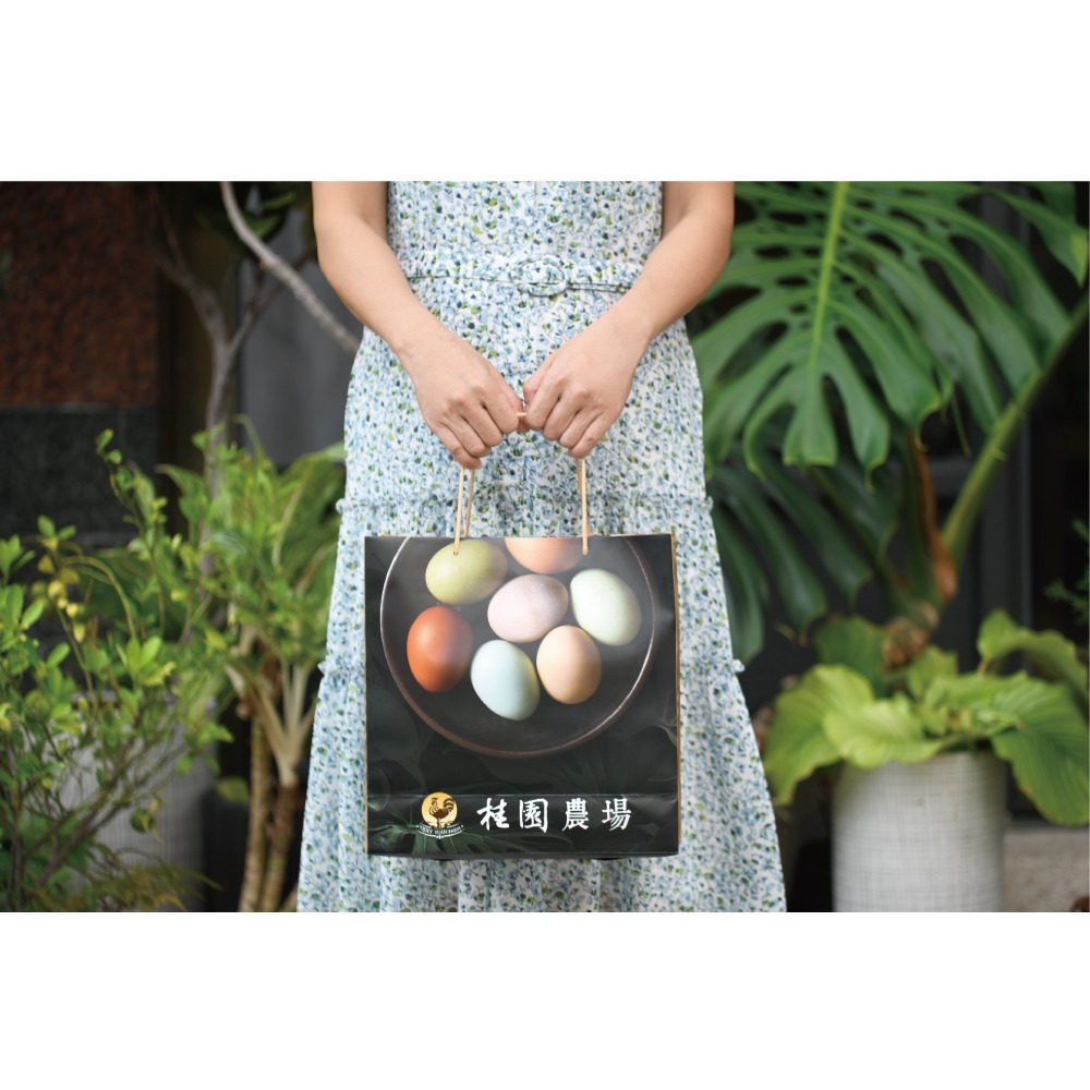 【桂園農場】桂園鐵蛋滷蛋禮盒(4袋裝)-細節圖5