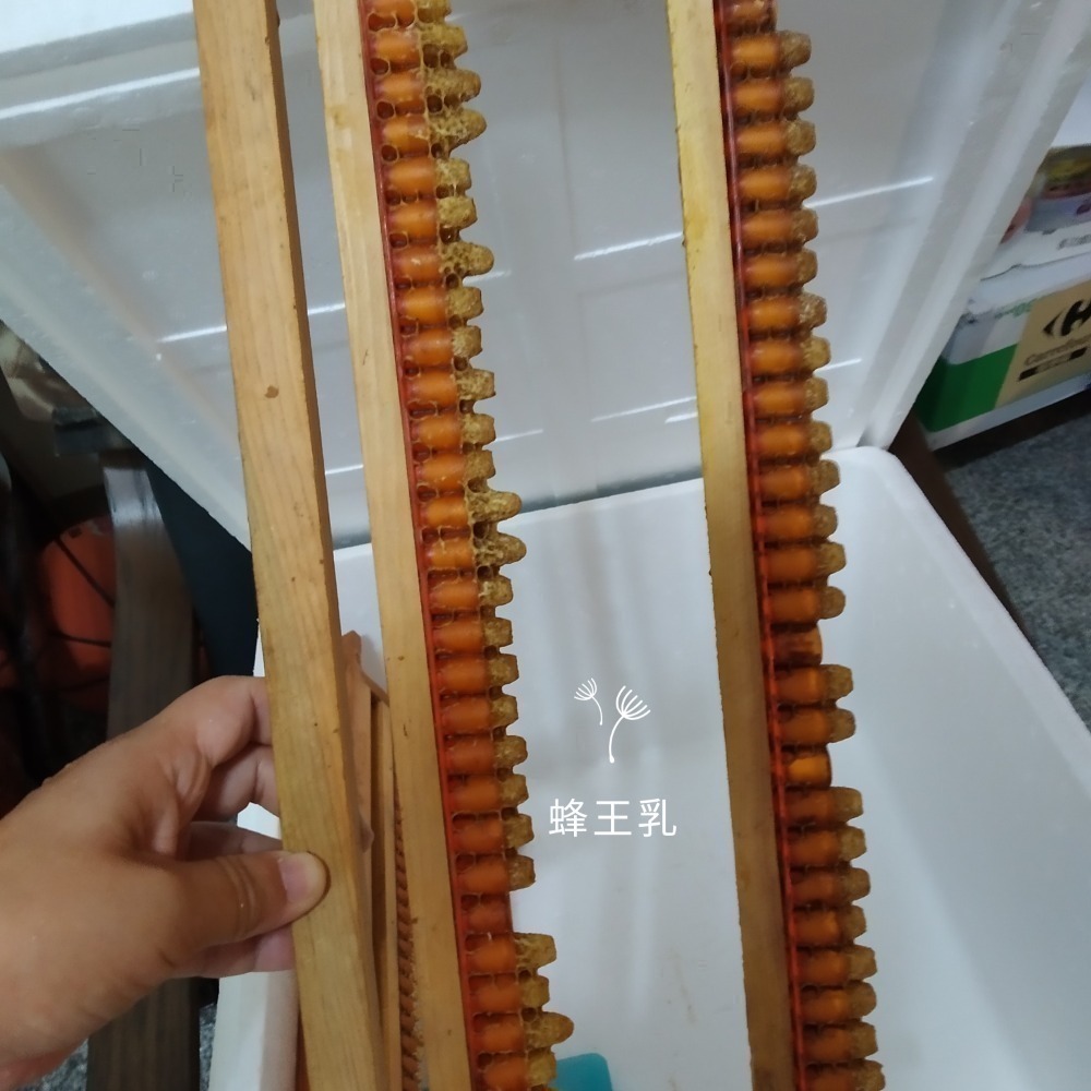 〈牧野工坊〉蜂王乳／蜂王漿 500g-細節圖3