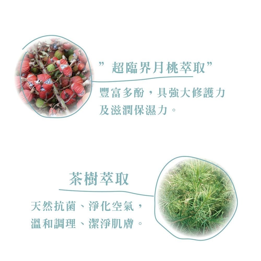 驅蚊芳香噴劑100ml。天然連蚊草配方，不含DEET。3個月以上小朋友適用，健康無負擔。氣味清新，對蚊子有效驅趕。-細節圖7