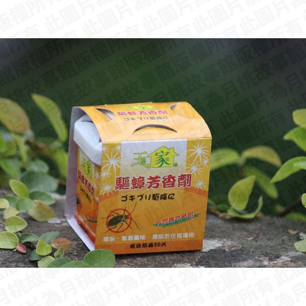 5入(買五送一)