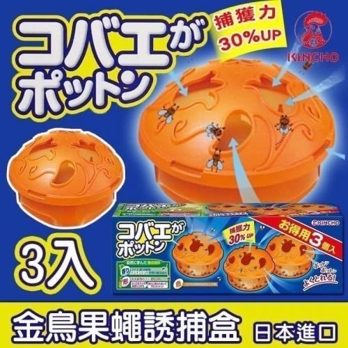 （現貨）日本 金 鳥 水果蠅  2入吊掛型 / 3入 置放型-規格圖2