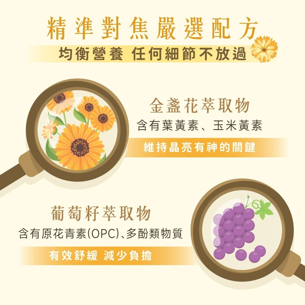 【德風】歐之光倍舒明膠囊(30顆/盒)(游離型葉黃素+維生素A+B群+C)-細節圖3