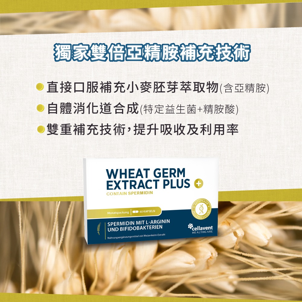 【德風】舒蘭特粒粒新膠囊(全素)(60顆/盒)-細節圖3