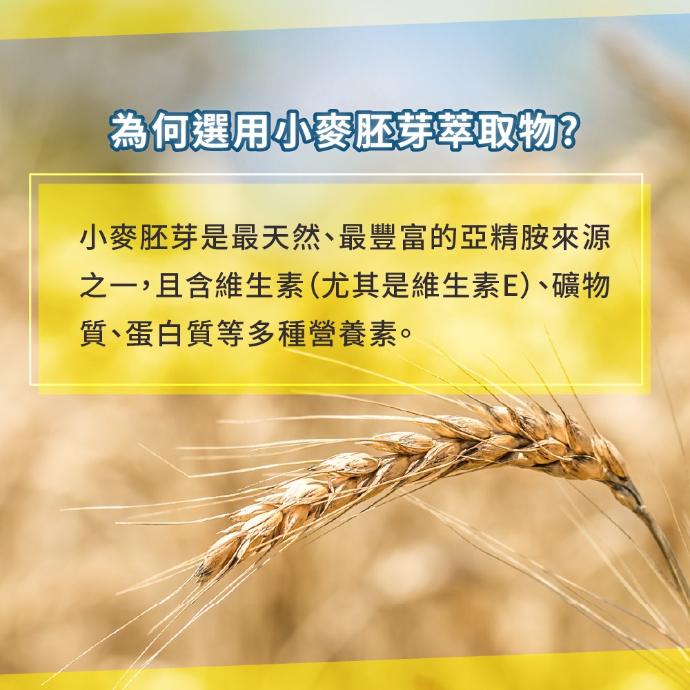 【德風】舒蘭特粒粒新膠囊(全素)(60顆/盒)-細節圖4