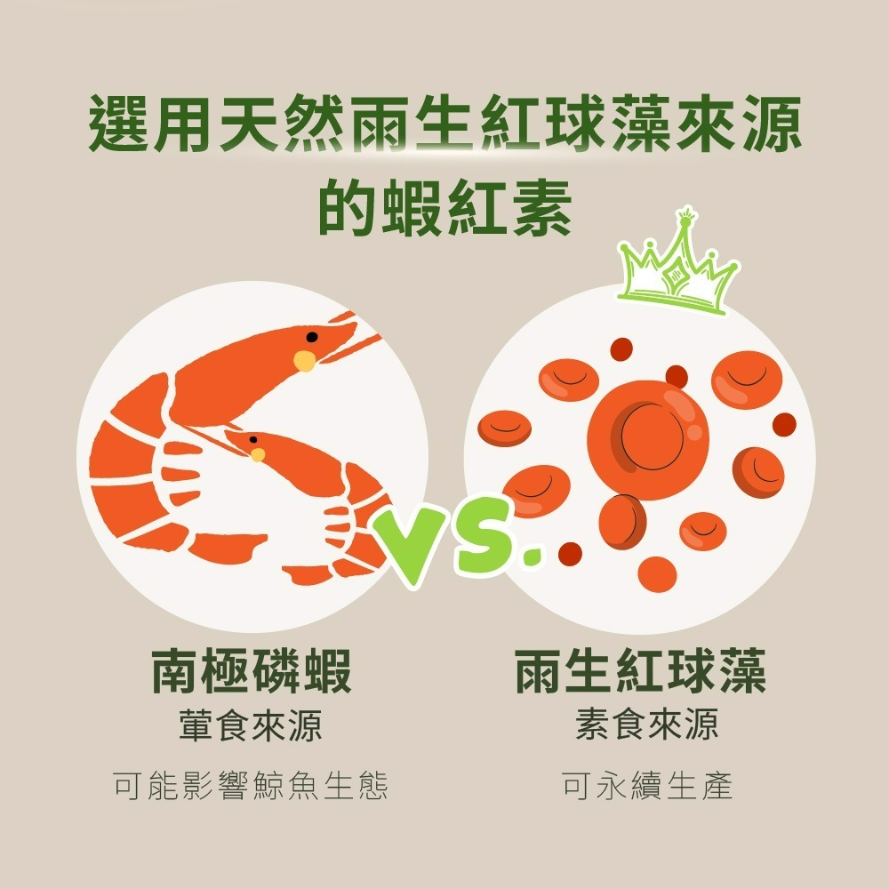 【德風】Tisso ASTA 8膠囊(60顆/瓶)  蝦紅素-細節圖4