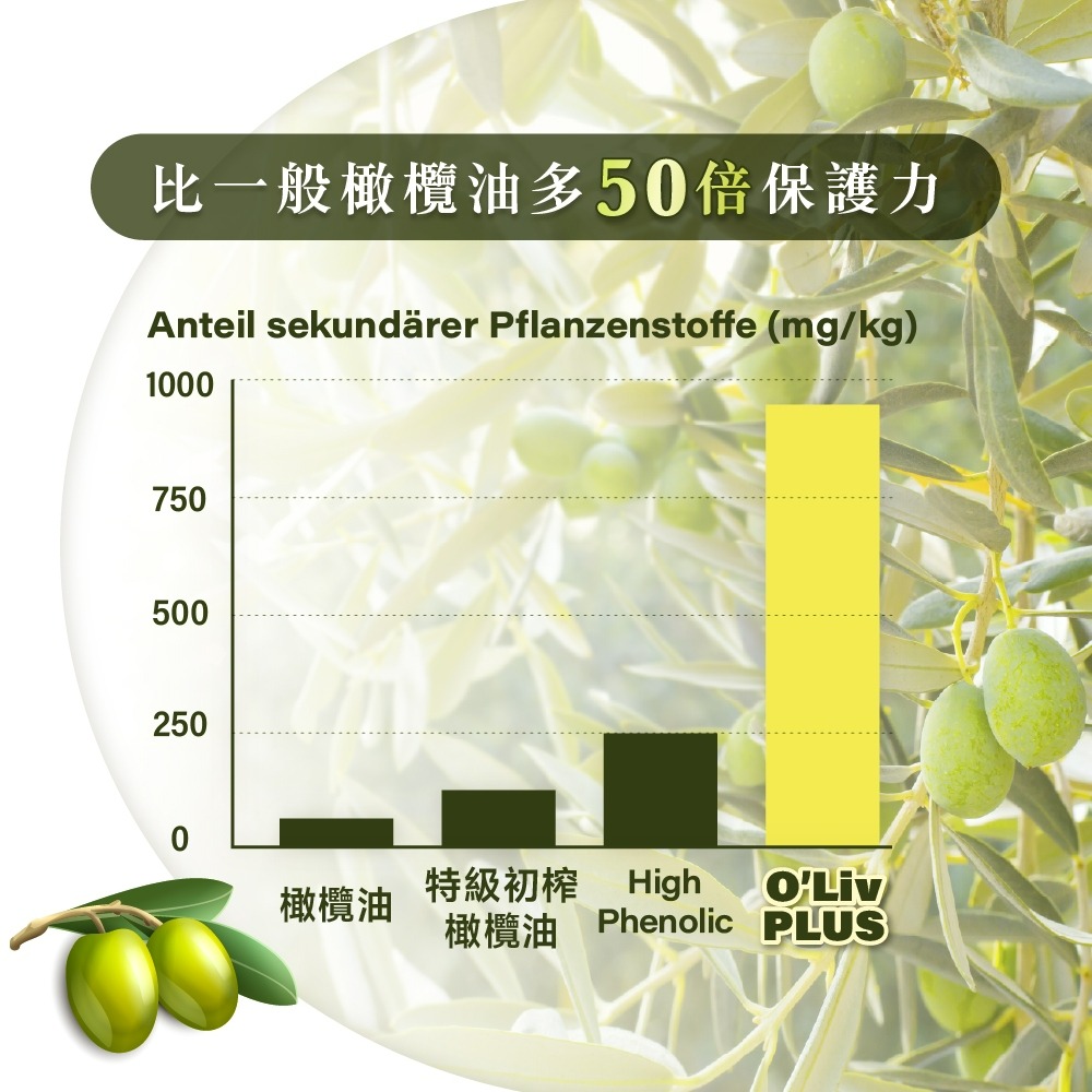 【德風】舒蘭特十五倍多酚橄欖油500ml /瓶-細節圖5