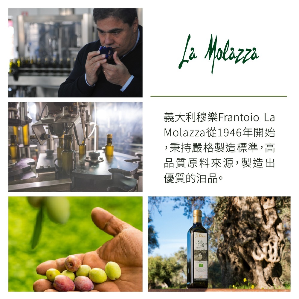 【德風】義大利穆樂橄欖油250ml-細節圖6