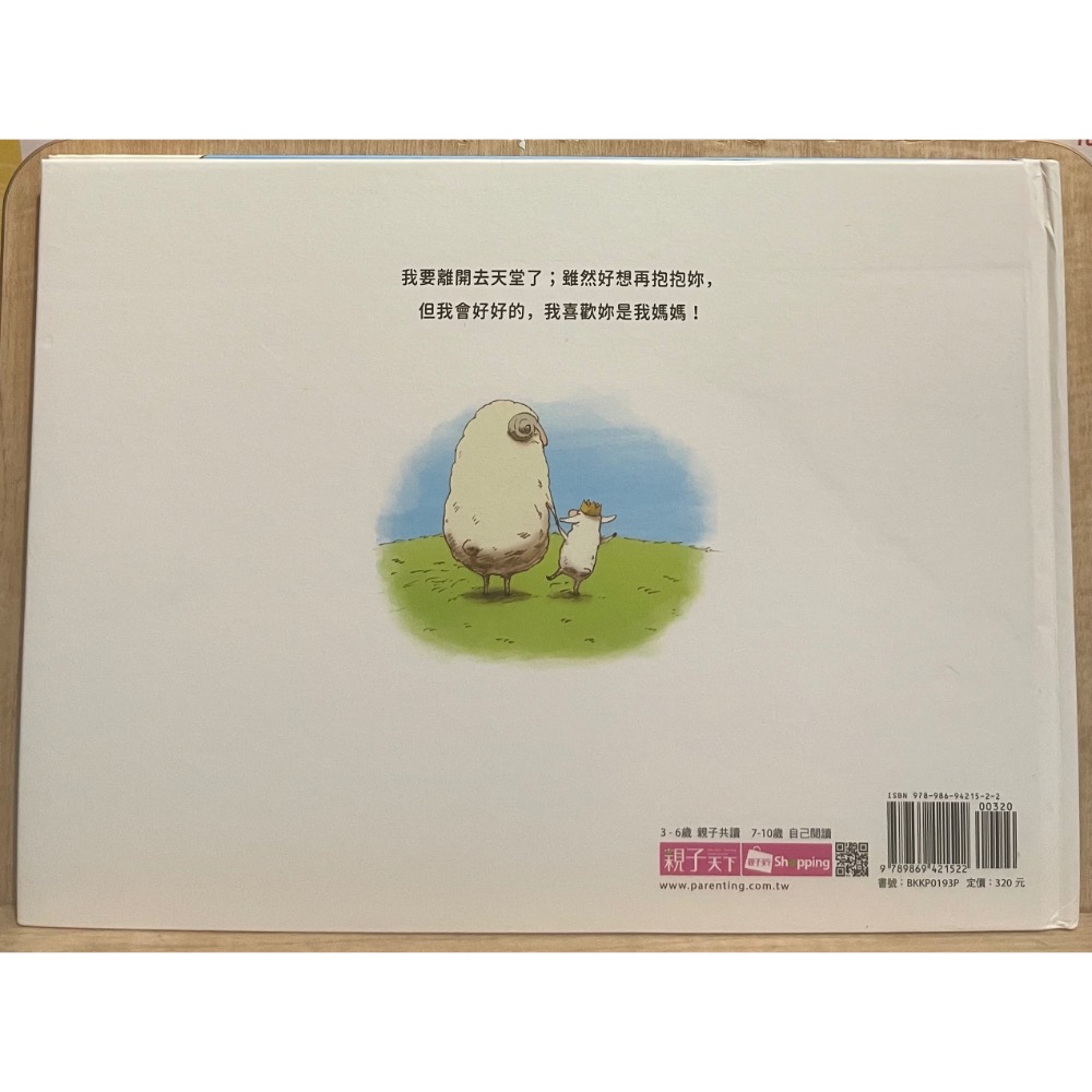 二手 中文 童書 繪本 雲上的阿里-細節圖2