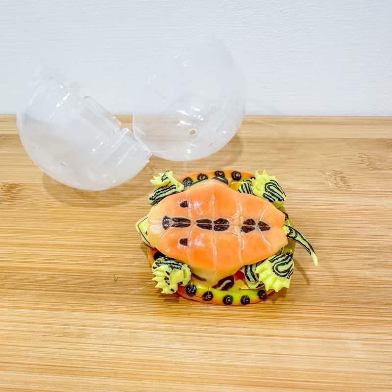 烏龜 水棲龜 扭蛋 玩具 模型 四肢可動-細節圖2