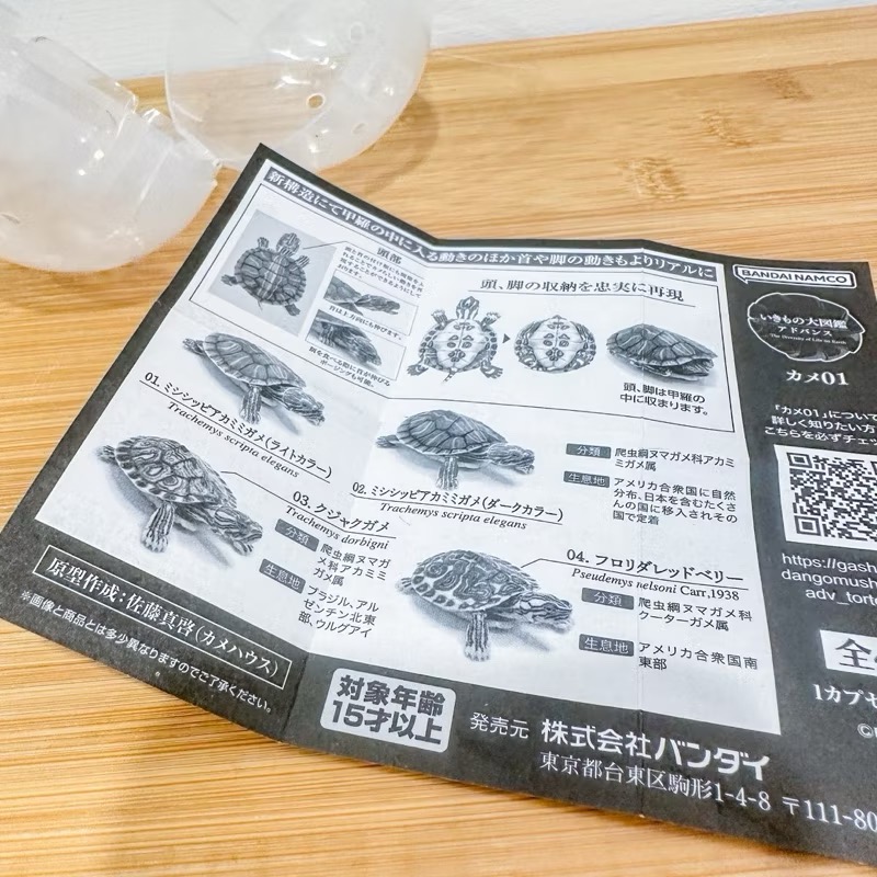 烏龜 水棲龜 扭蛋 玩具 模型 四肢可動-細節圖3
