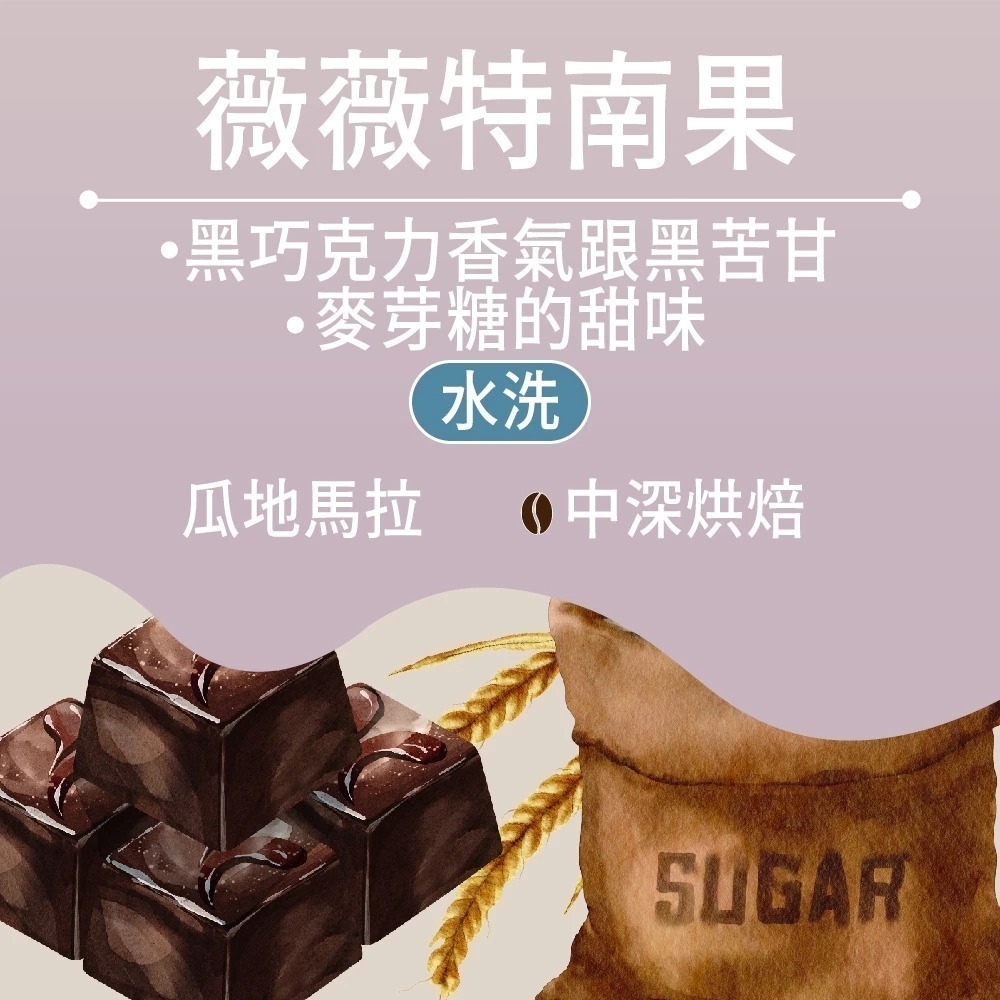 【百萬烘豆機烘焙】咖啡豆 咖啡 精品咖啡豆 精品咖啡 藝妓咖啡 黑咖啡 coffee 美式咖啡 單品咖啡 【啡茶時刻】-規格圖11