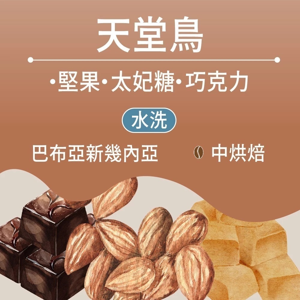 天堂鳥 - 半磅｜中焙