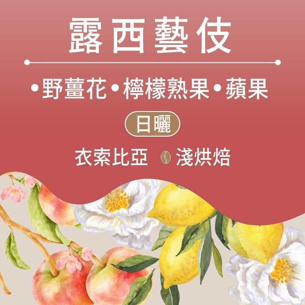 露西藝伎(日曬) - 半磅｜淺焙