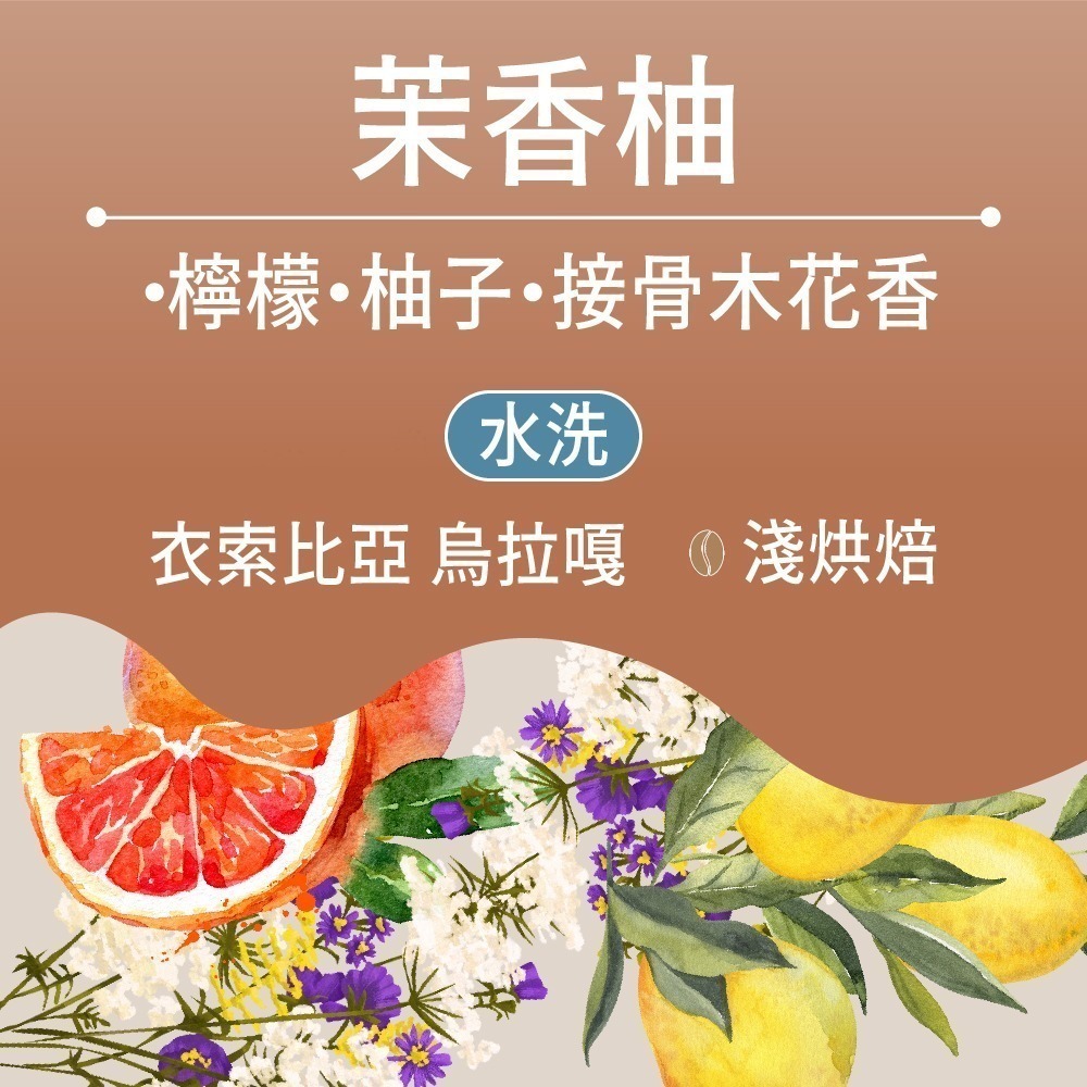 茉香柚(日曬) - 半磅｜淺焙