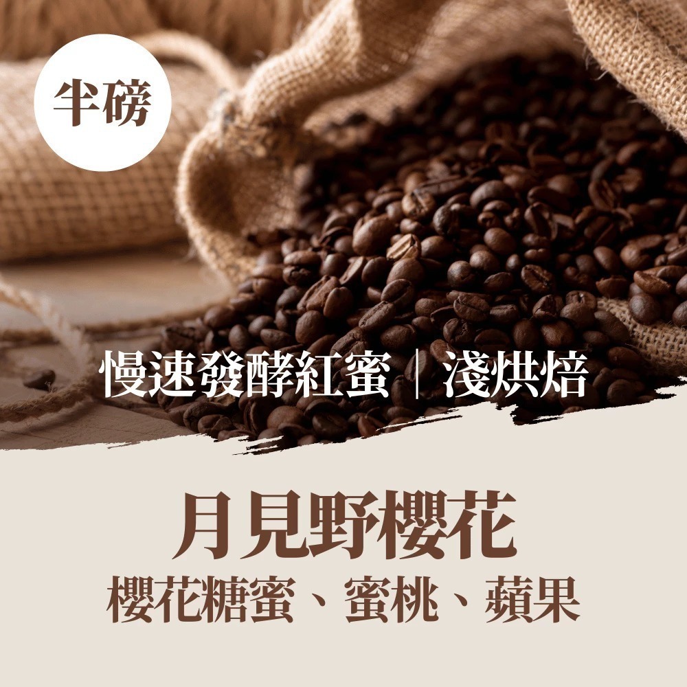 【百萬烘豆機烘焙】咖啡豆 咖啡 精品咖啡豆 精品咖啡 藝妓咖啡 黑咖啡 coffee 美式咖啡 單品咖啡 【啡茶時刻】-規格圖11