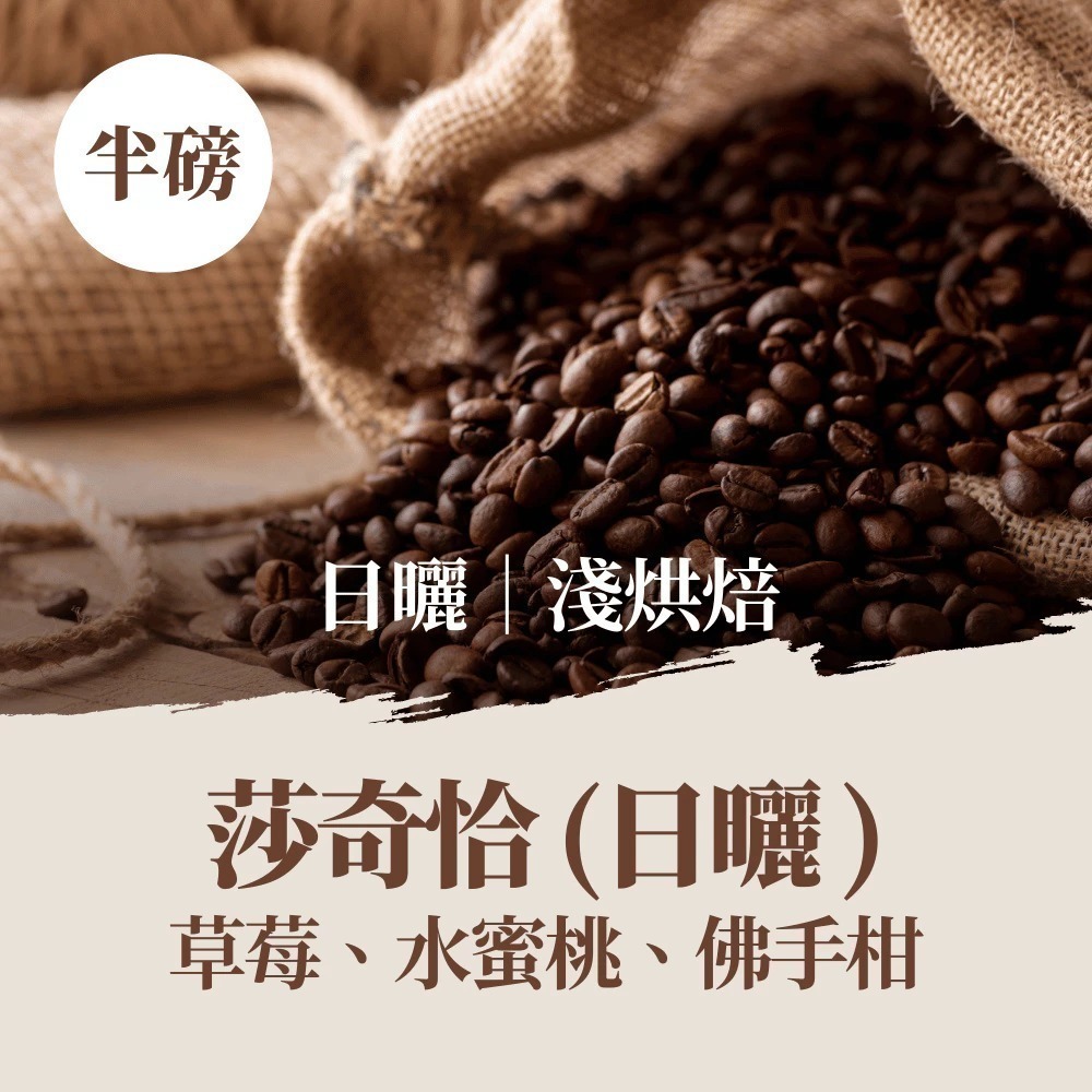 【百萬烘豆機烘焙】咖啡豆 咖啡 精品咖啡豆 精品咖啡 藝妓咖啡 黑咖啡 coffee 美式咖啡 單品咖啡 【啡茶時刻】-規格圖11