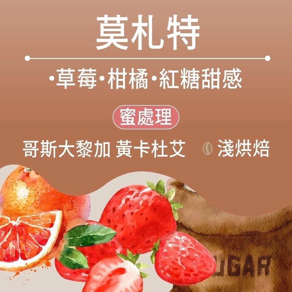 莫札特 - 半磅｜淺焙