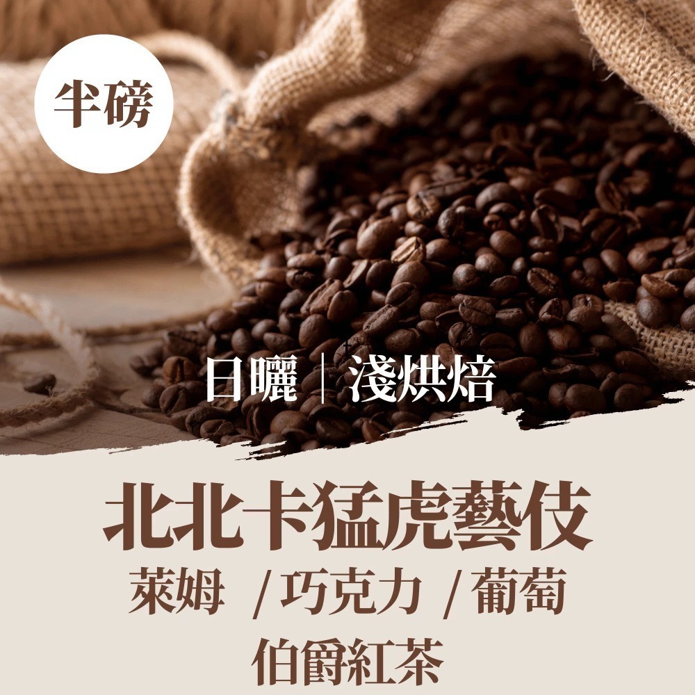 北北卡猛虎藝伎 - 半磅｜淺焙