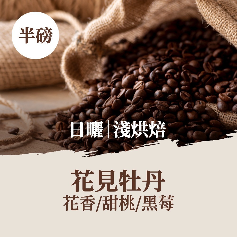 花見牡丹(日曬) - 半磅｜淺焙