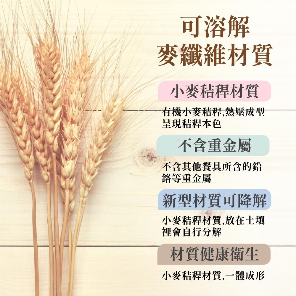 小麥秸餐具 小麥秸筷子 筷子 湯匙 叉子 環保筷 餐具組 環保餐具 餐具 小麥餐具 小麥稈 餐具用品 【啡茶時刻】-細節圖6