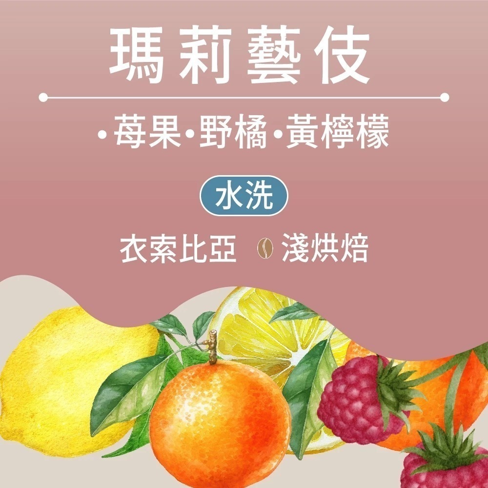 【挑戰藝伎濾掛最低價】 耳掛咖啡 濾掛咖啡 濾掛式咖啡 藝伎濾掛 藝妓 咖啡包 黑咖啡 美式咖啡 咖啡 【啡茶時刻】-規格圖11