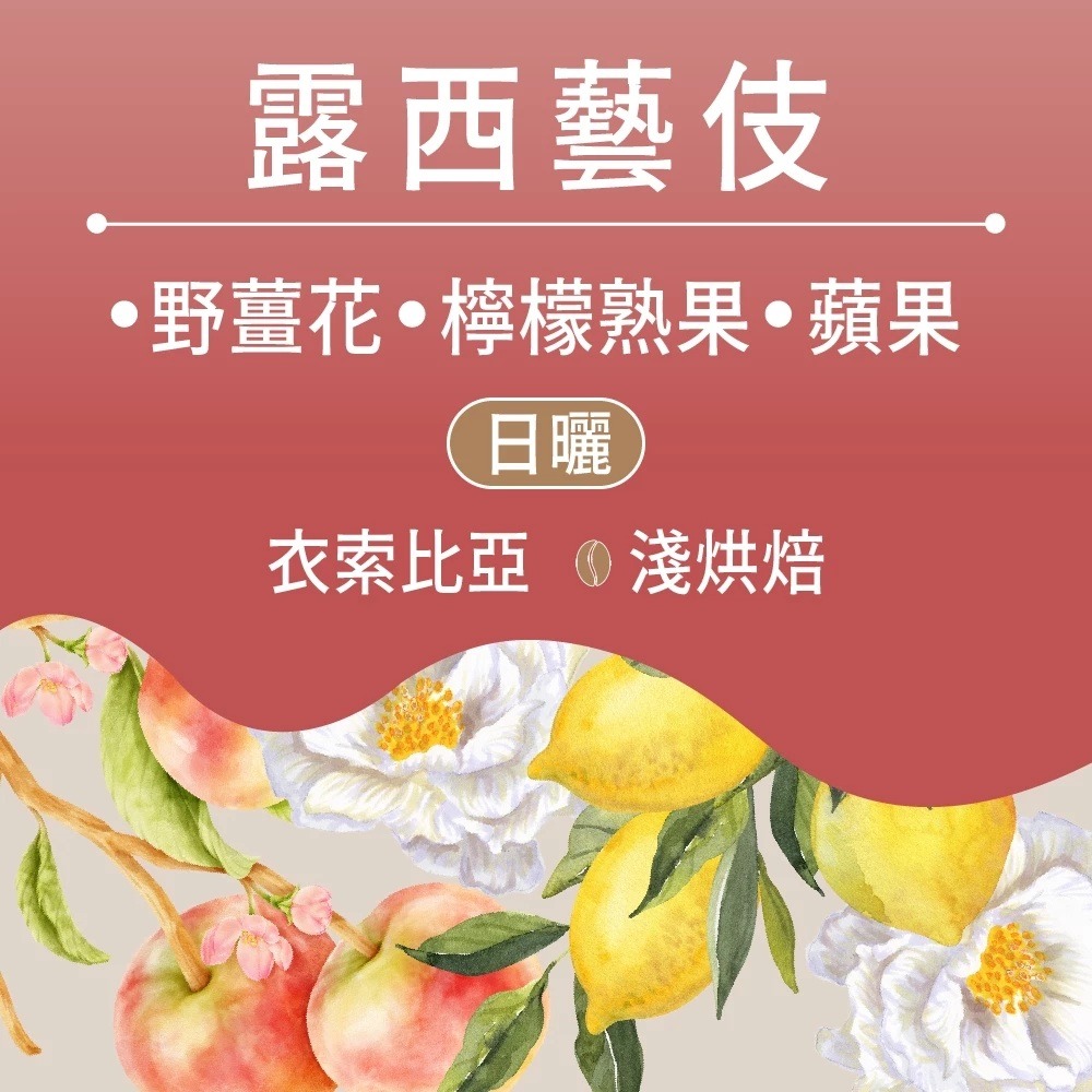 露西藝伎(日曬)｜淺焙(10包)